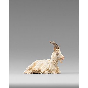 HD236501color20 - Goat reclining