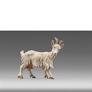 HD236506color10 - Goat