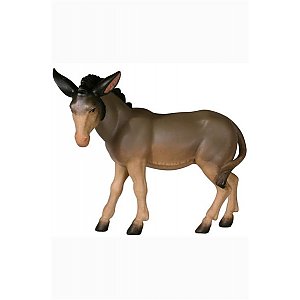 IE.051013Natur40 - IN Donkey