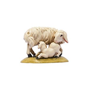 IE050014Natur20 - IN W.b.Sheepgroup
