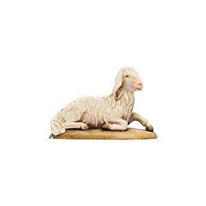 IE050015Color16 - IN W.b.Sheep lying