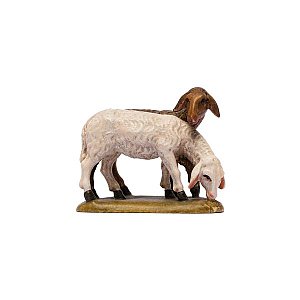IE050017Color14 - IN W.b.Sheep double