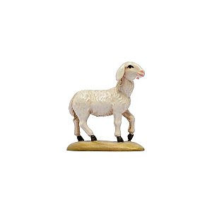 IE050026Echt Gold40 - IN W.b.Sheep standing