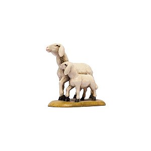 IE050027Color40 - IN W.b.Sheep with lamb