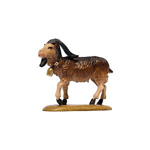 IE050028Color10 - IN W.b.Billy goat