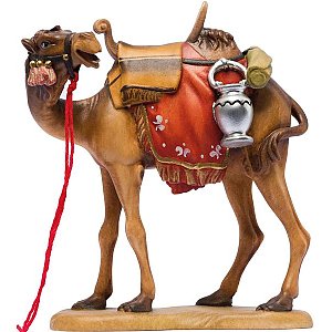 IE050049Natur25 - IN W.b.Camel