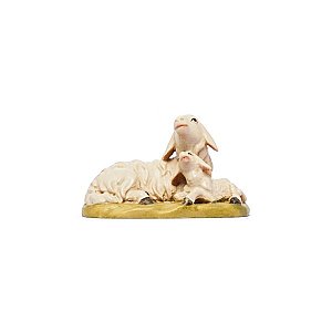 IE050051Color10 - IN W.b.Sheep lying with lamb