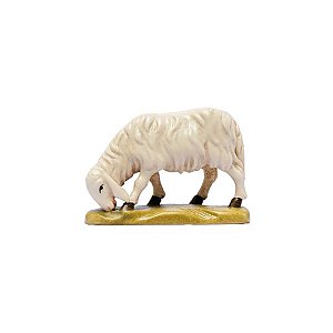 IE050054Echt Gold40 - IN W.b.Sheep eating