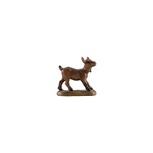 IE050059Natur25 - IN W.b.Young goat