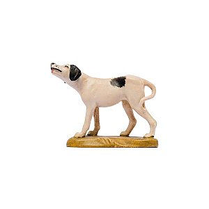 IE050060Color16 - IN W.b.Dog - Pointer