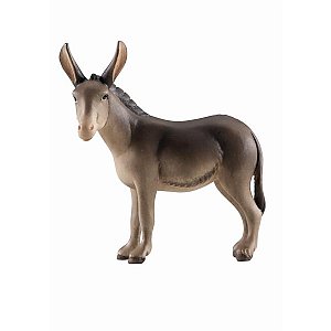 IE051013Natur20 - IN Donkey