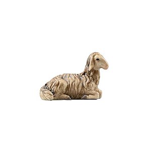 IE051015BColor14 - IN Sheep lying brown