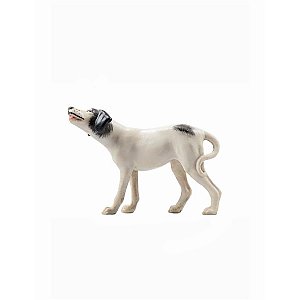 IE051026Color16 - IN Dog Pointer