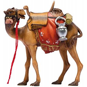 IE052049Natur16 - IN Camel