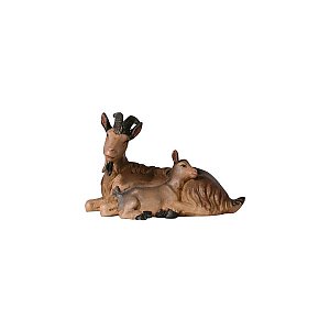 IE052057Natur20 - IN Goat lying with kid