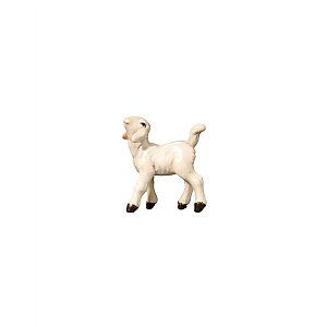 IE053060Natur13 - SI Lamb head left up