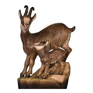 IE5061 - Chamois with fawn