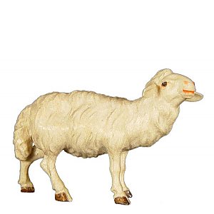 JM8033Color13 - Sheep standing upright