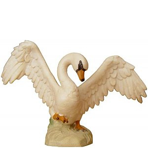 JM8083Color15 - Swan flying
