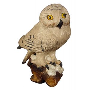 JM8099Color13 - Snowy owl