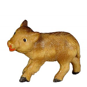 JM8123Color15 - Young wild boar standing