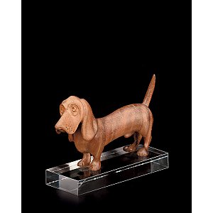 LP00502 - Basset hound(with pedestal in plexiglas)