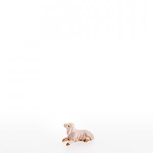 LP10000-15Natur12 - Newborn lamb