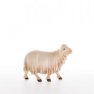 LP10000-22Natur10 - Sheep