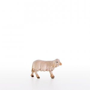 LP10000-24Zwei0geb - Lamb looking to the left