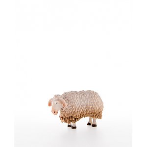 LP10200-16Natur8 - Sheep