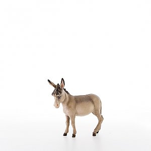 LP20001-ANatur12 - Donkey