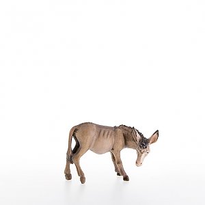 LP20007-ANatur13 - Donkey