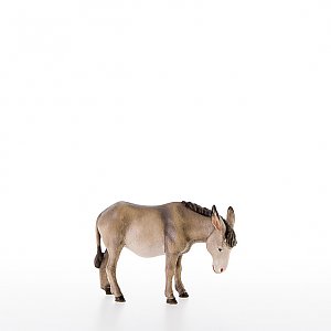 LP20009-ANatur20 - Donkey