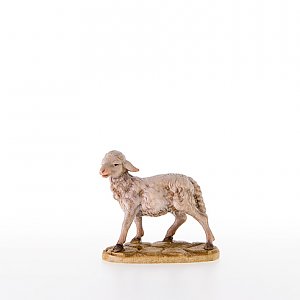 LP21006Color50 - Sheep standing