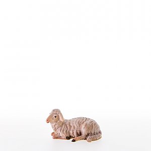 LP21102Color16 - Sheep lying-down