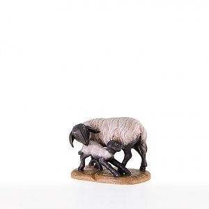 LP21200-SColor13 - Shep with lamb and black head