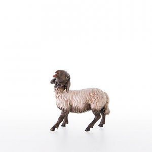 LP21203-ASColor16 - Sheep with black head