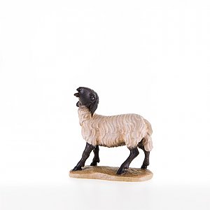 LP21203-SColor12 - Sheep with black head