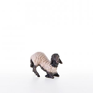 LP21204-ASColor20 - Sheep kneeling with black head