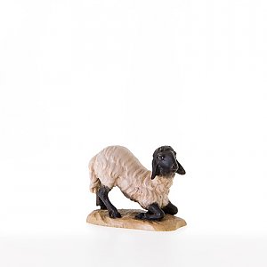 LP21204-SColor13 - Sheep kneeling with black head