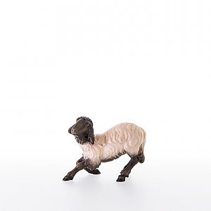 LP21209-ASColor10 - Sheep kneeling with black head