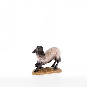 LP21209-SColor10 - Sheep kneeling with black head