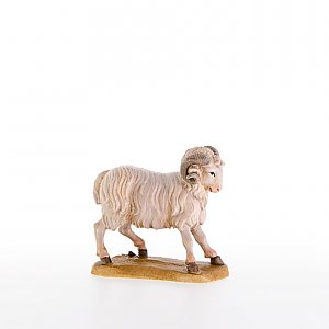 LP21279Natur13 - Ram (apropriated for dog 22052)