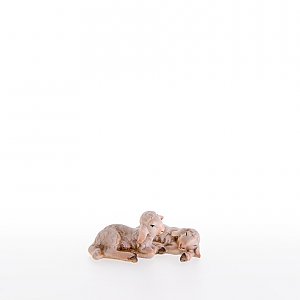 LP21284Color10 - Couple of lambs lying down