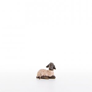 LP21286-ASColor20 - Lamb with black head