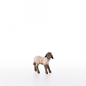 LP21287-ASColor16 - Lamb with black head