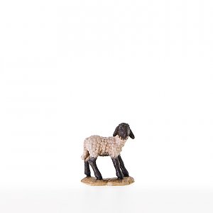 LP21287-SColor10 - Lamb with black head