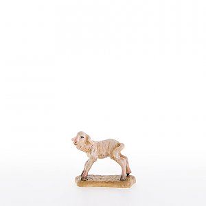LP21289Color12 - Lamb standing