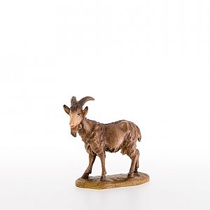 LP21300Color16 - Goat
