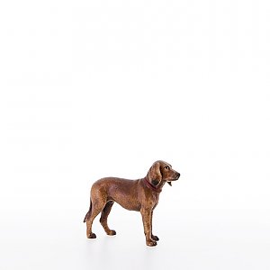 LP22055-AZwei0geb1 - Sporting dog